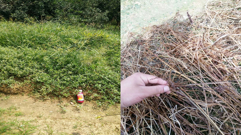 港澳免费资科大全